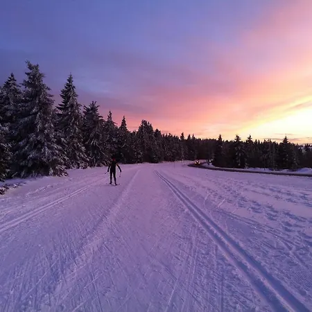 D'hôtes La Forestière 3*